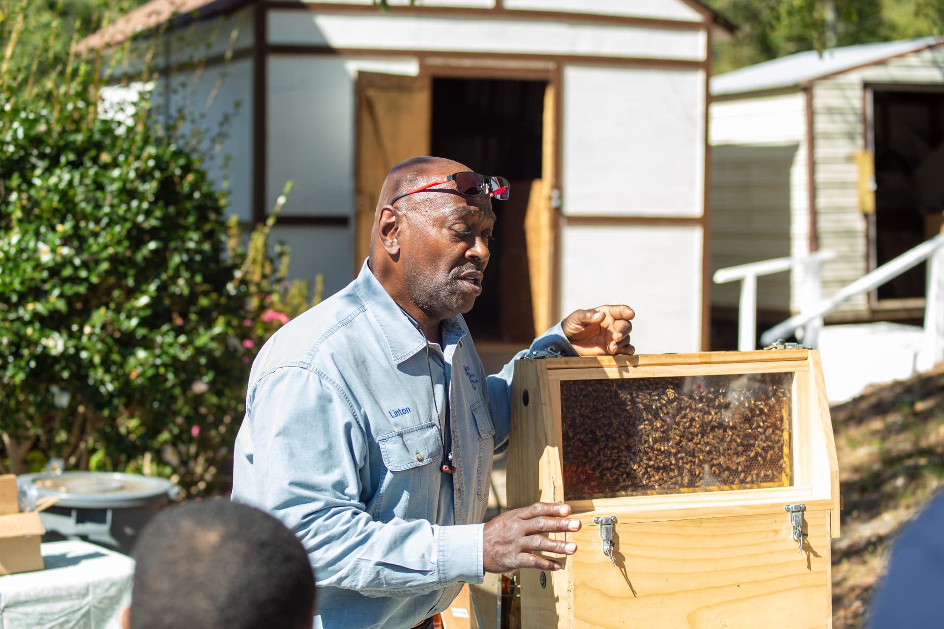 A beekeeper holds the observation hive and explains the bees to children and adults during STEM Day.