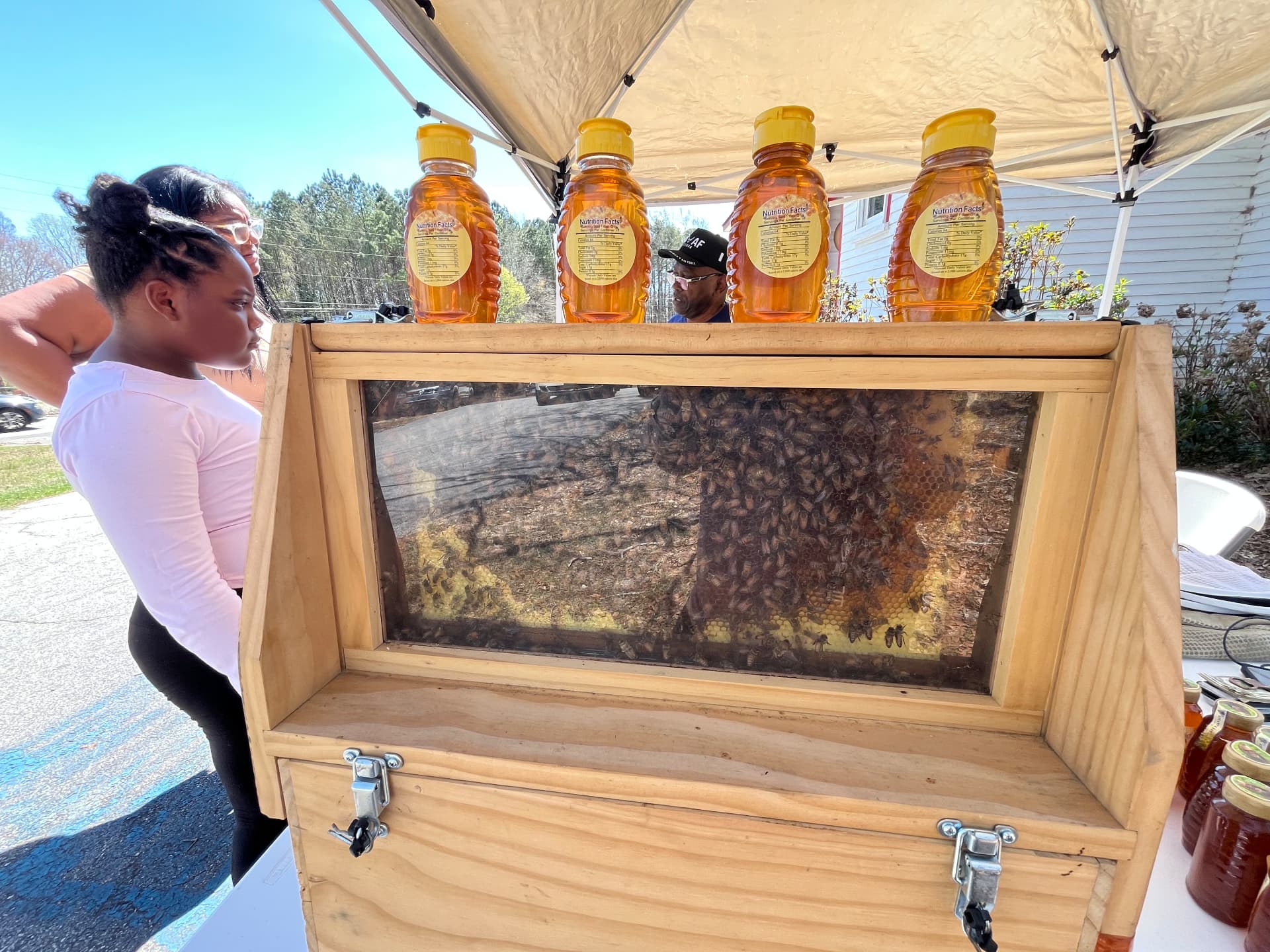 A wooden observation hive teeming with honeybees sits beside honey squeeze bottles on the beekeeper's table at STEM Day.