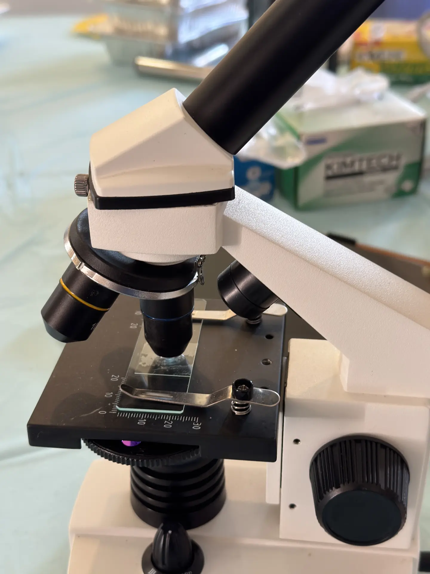 A close-up of a microscope focused on a specimen slide during STEM Day.